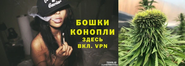 прущий лед Арсеньев