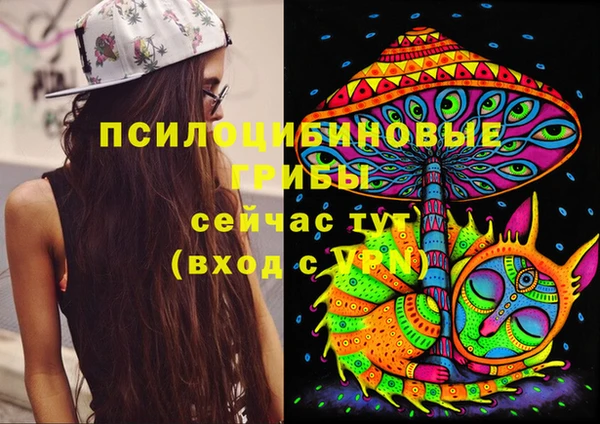 прущий лед Аркадак