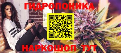 гашиш Можга