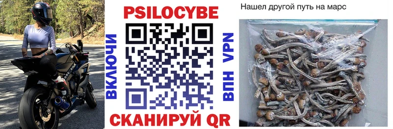 купить наркоту  Чапаевск  Псилоцибиновые грибы Cubensis 